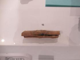 silicified wood