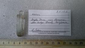 BERYL