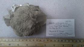 Albite