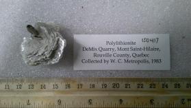 Polylithionite