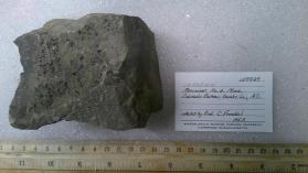 vanadium mineral