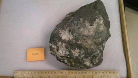Bornite