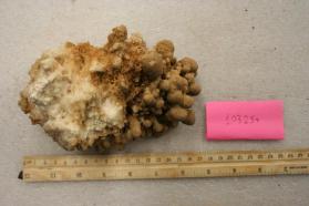 ARAGONITE