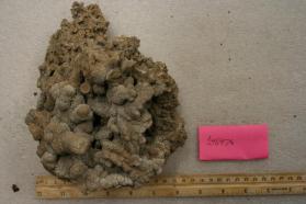 calcite (?)
