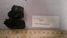 coal