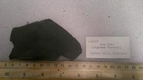 gas coal