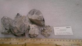 thucholite