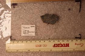Fedorite