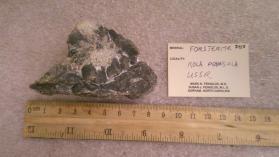 Forsterite