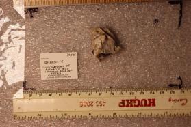 Komarovite