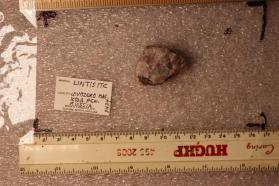 Lintisite