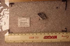 Mannardite