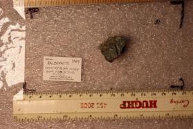 Kalborsite