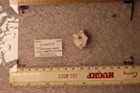 Lovdarite