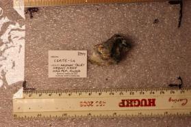 Cerite-La
