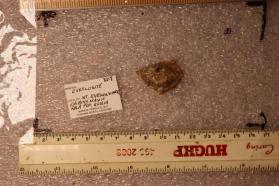 Eveslogite