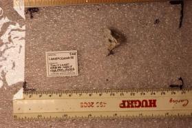 Carbocernaite
