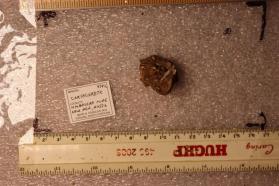 Caryochroite