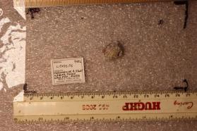 Lithosite