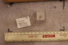 Copper (in capsule)