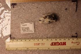 Zircon