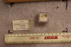 Gold (in capsule)