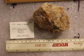 Gold with Quartz