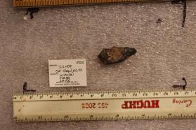 Silver with Chalcocite