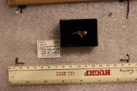 Gold with Hematite