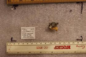 Gold with Tetradymite