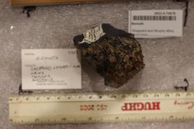 Bismuth