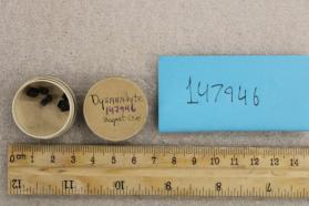 Dysanalyte