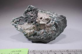 Diaspore