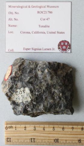 Tonalite