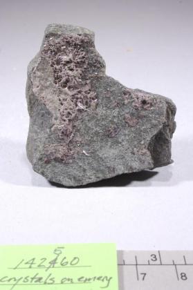Diaspore