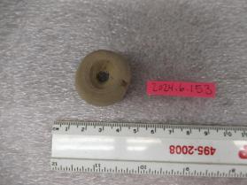 concretion ring
