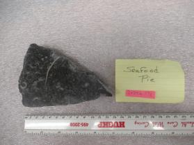 fossil limestone