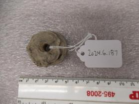 concretion