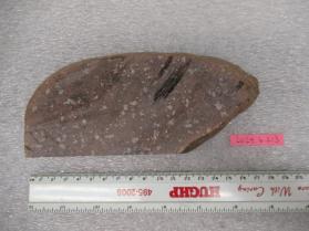 andesite slice