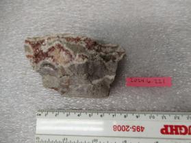sandstone with quartz/feldspar veins