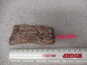 sandstone with quartz/feldspar veins