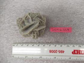 gypsum