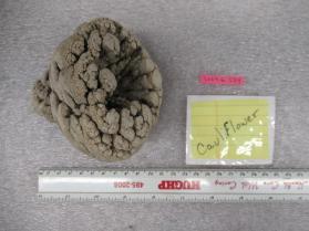 concretion