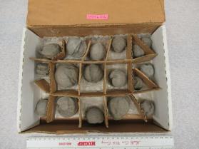 concretion
