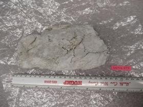 white mountain leather (prehnite?)