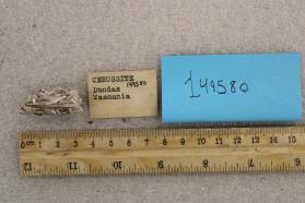 Cerussite