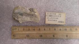 Bismite on Bismuthinite