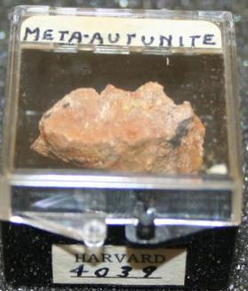 Meta-autunite
