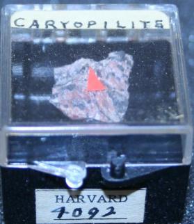 Caryopilite