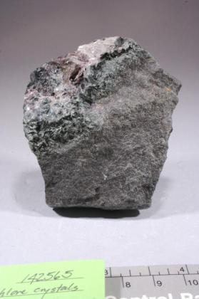 Diaspore
